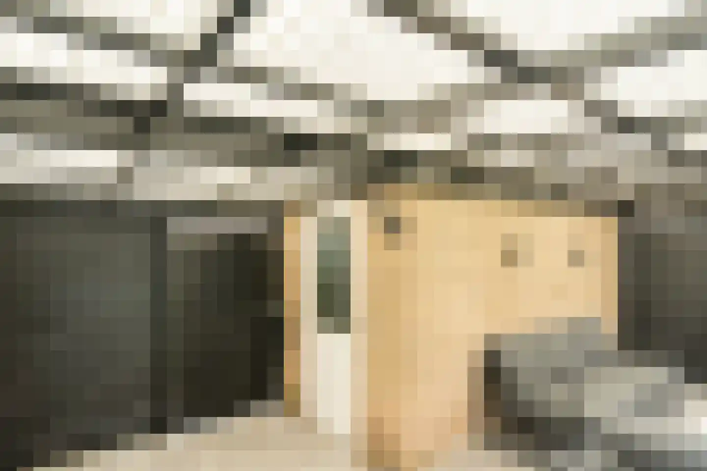 Graan voor Visch 15302 Hoofddorp thumbnail 47
