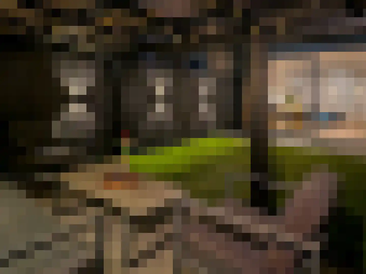 Graan voor Visch 15302 Hoofddorp thumbnail 48