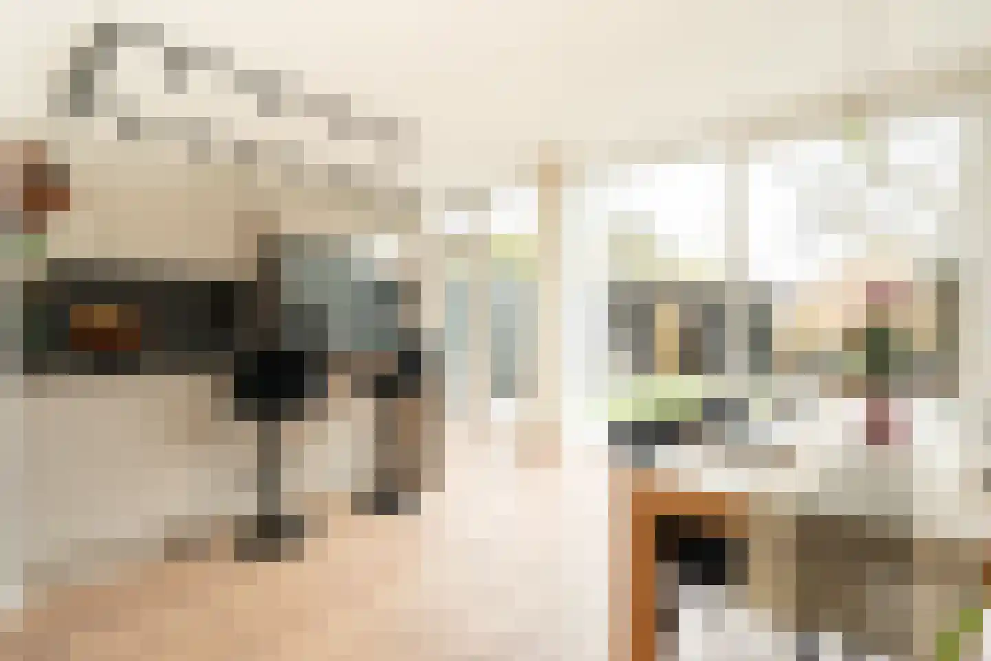 Graan voor Visch 15302 Hoofddorp thumbnail 9