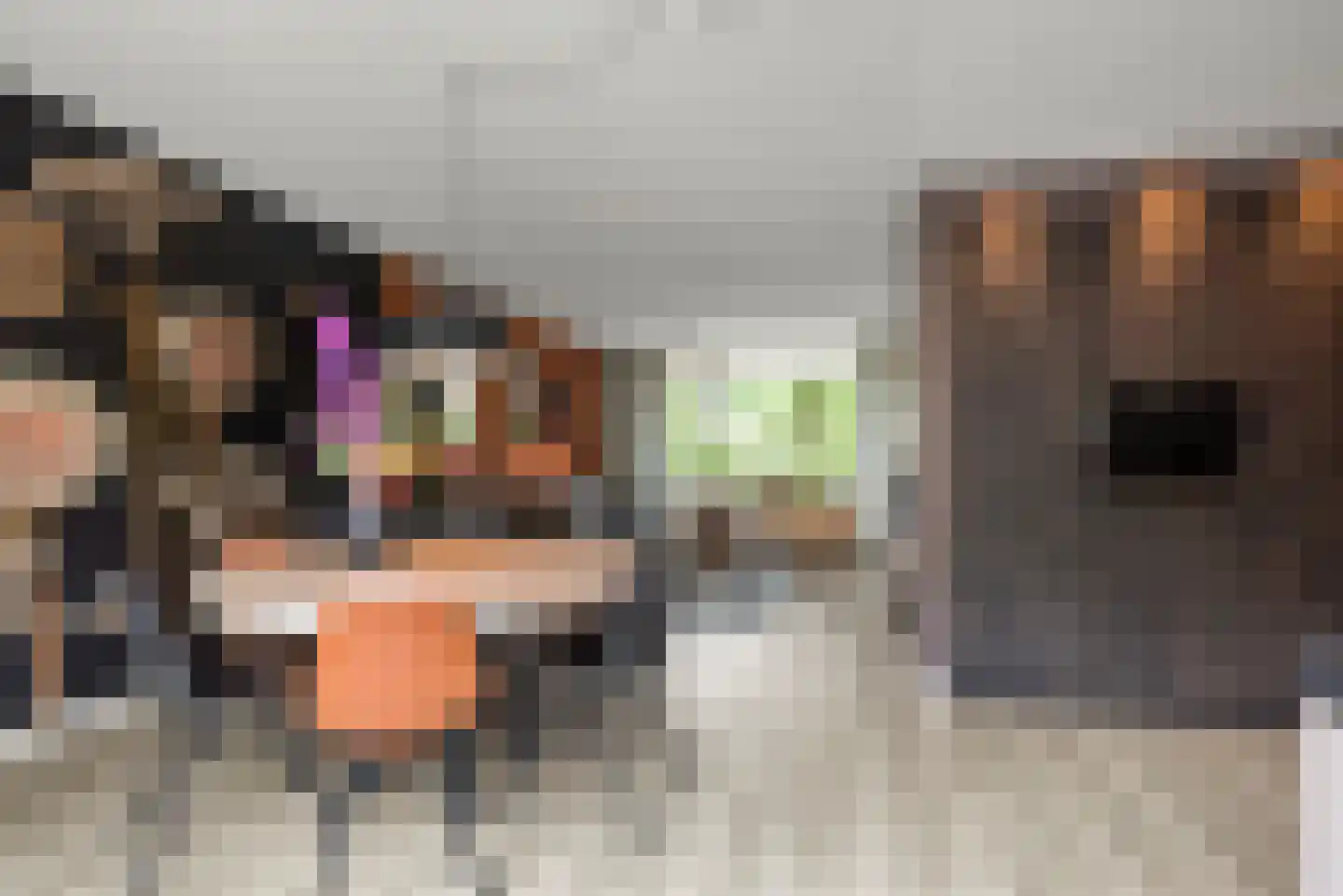 Graan voor Visch 15313 Hoofddorp thumbnail 10