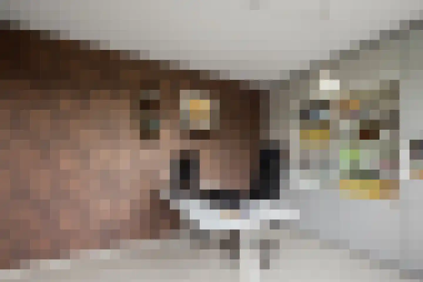 Graan voor Visch 15313 Hoofddorp thumbnail 17