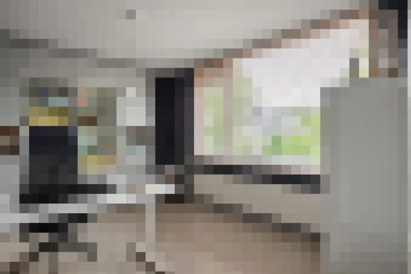 Graan voor Visch 15313 Hoofddorp thumbnail 18