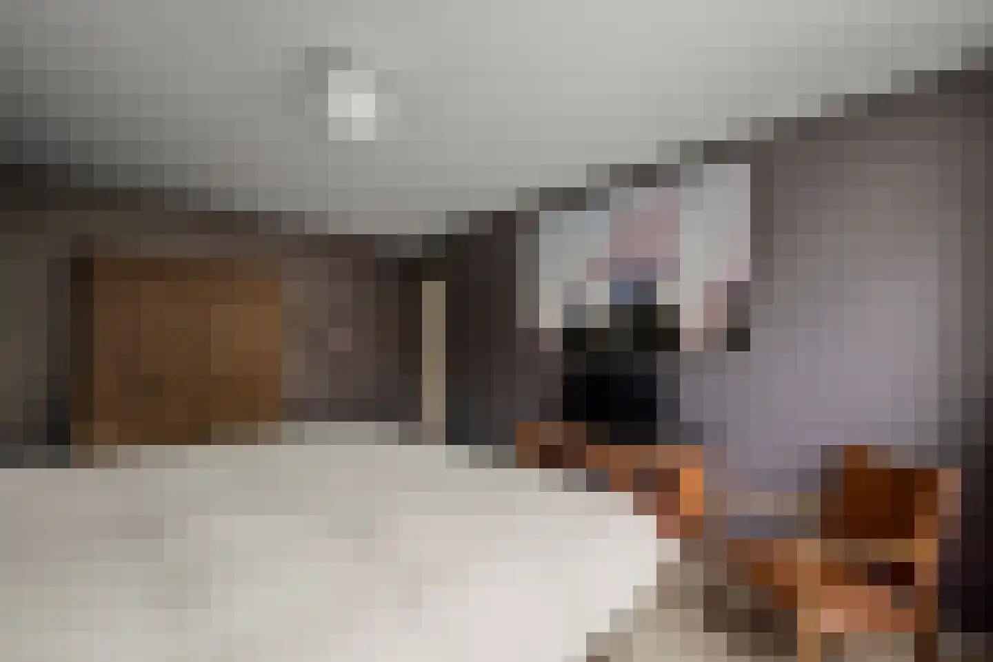 Graan voor Visch 15313 Hoofddorp thumbnail 21