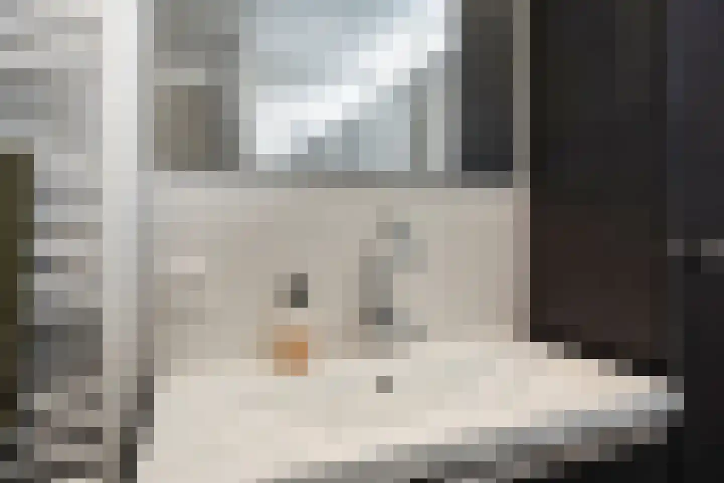Graan voor Visch 15313 Hoofddorp thumbnail 25