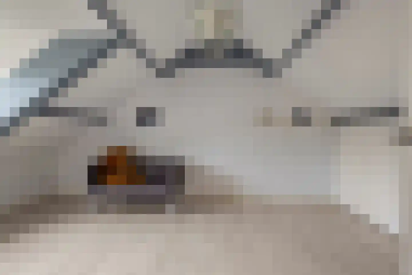 Graan voor Visch 15313 Hoofddorp thumbnail 28
