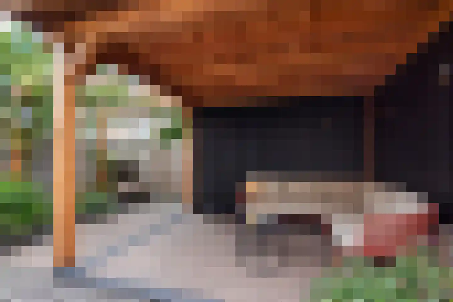Graan voor Visch 15313 Hoofddorp thumbnail 32