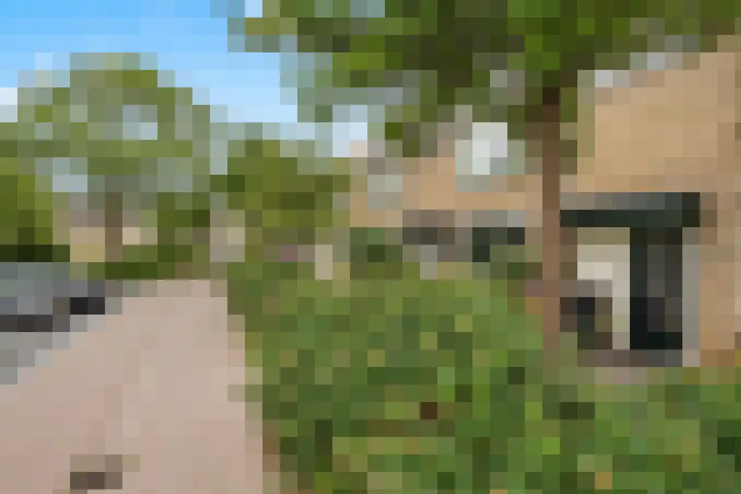 Graan voor Visch 15313 Hoofddorp thumbnail 35