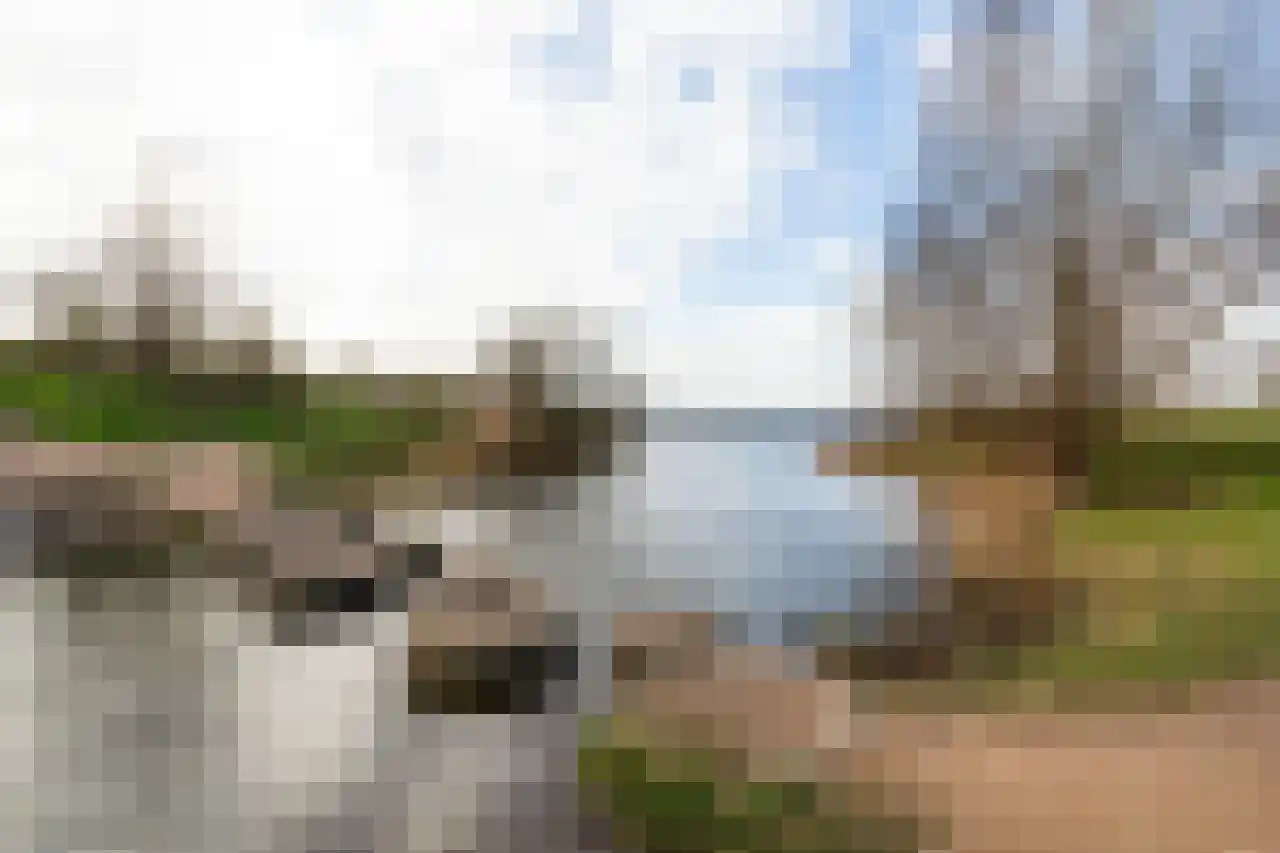 Graan voor Visch 15313 Hoofddorp thumbnail 38