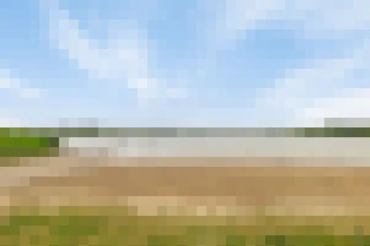 Graan voor Visch 15313 Hoofddorp thumbnail 39