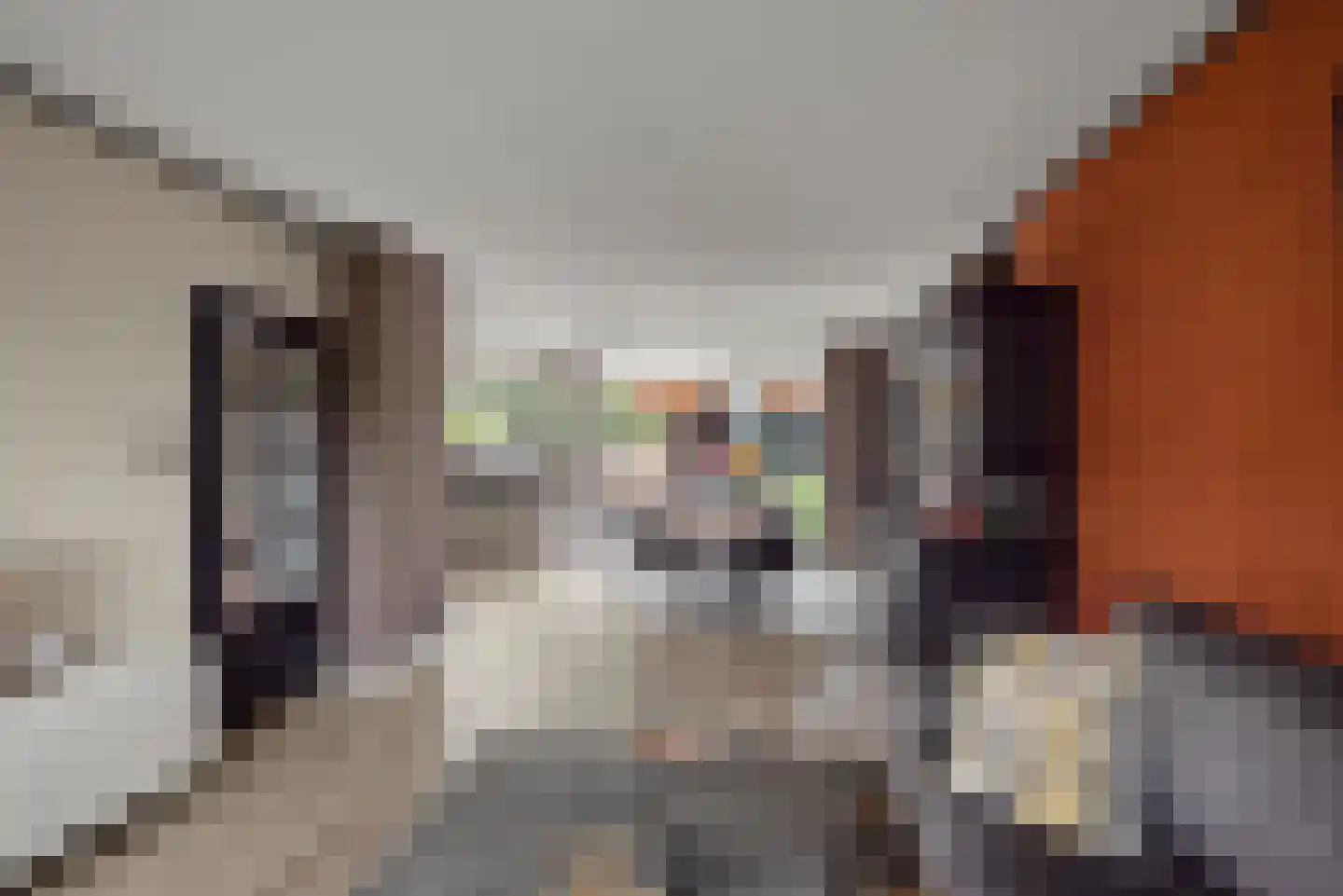 Graan voor Visch 15313 Hoofddorp thumbnail 5