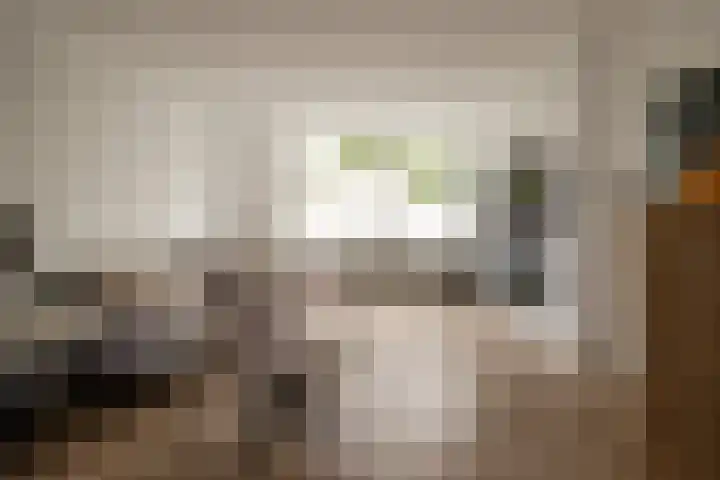 Graan voor Visch 15315 Hoofddorp thumbnail 13