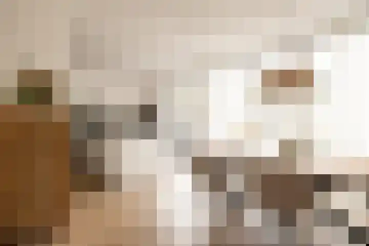 Graan voor Visch 15315 Hoofddorp thumbnail 17