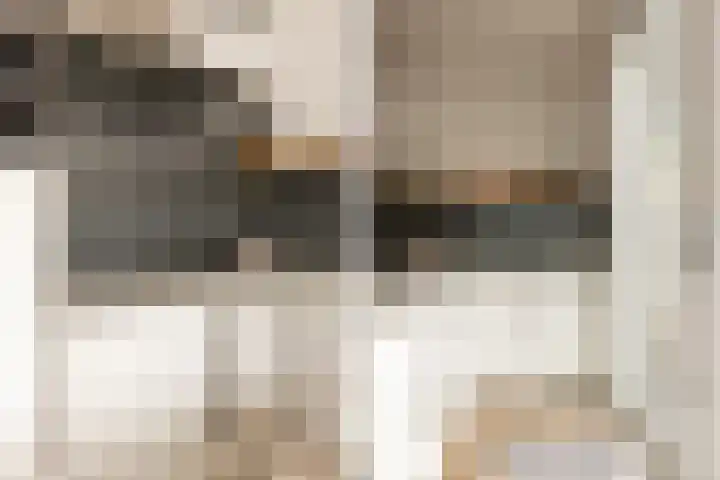 Graan voor Visch 15315 Hoofddorp thumbnail 18
