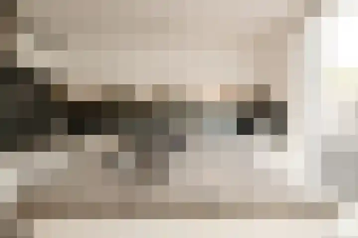 Graan voor Visch 15315 Hoofddorp thumbnail 20