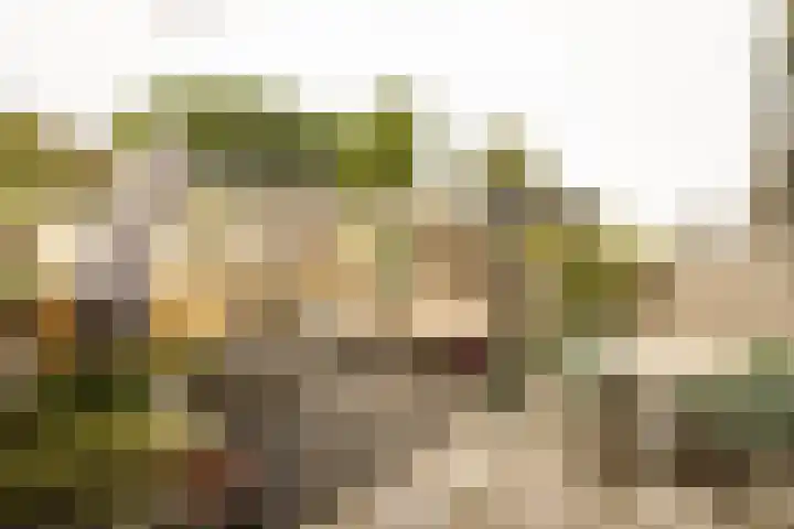 Graan voor Visch 15315 Hoofddorp thumbnail 21