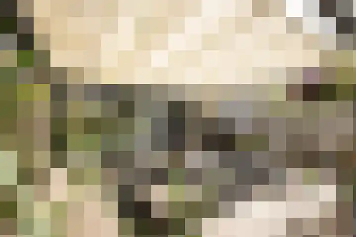 Graan voor Visch 15315 Hoofddorp thumbnail 23
