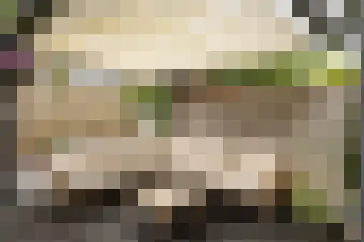 Graan voor Visch 15315 Hoofddorp thumbnail 24