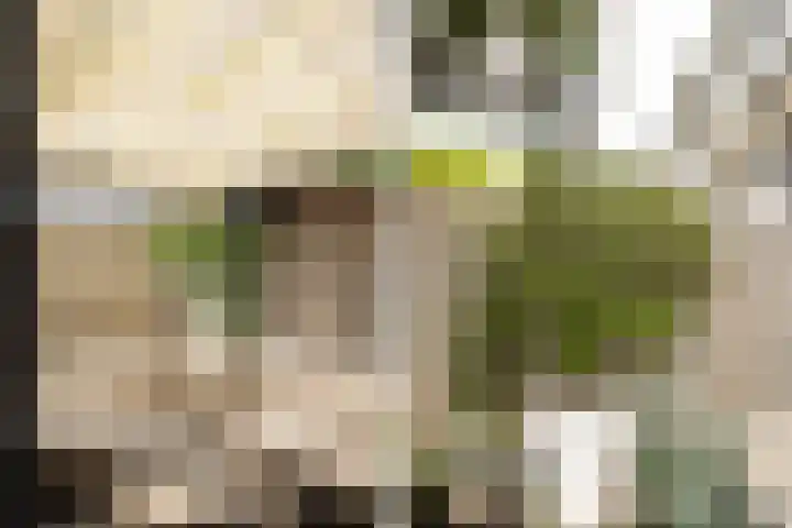 Graan voor Visch 15315 Hoofddorp thumbnail 25