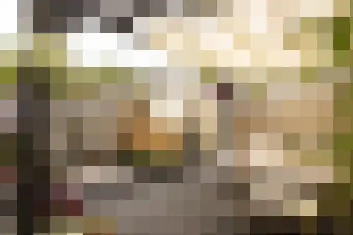 Graan voor Visch 15315 Hoofddorp thumbnail 26