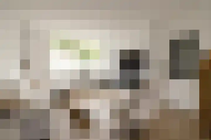 Graan voor Visch 15315 Hoofddorp thumbnail 4