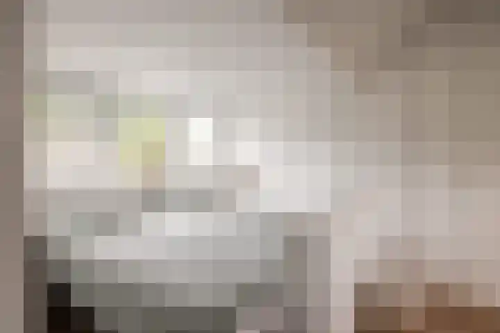 Graan voor Visch 15315 Hoofddorp thumbnail 42