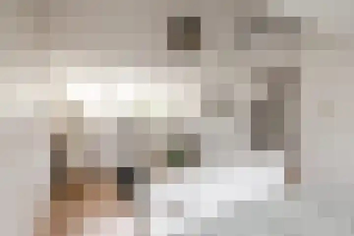 Graan voor Visch 15315 Hoofddorp thumbnail 43