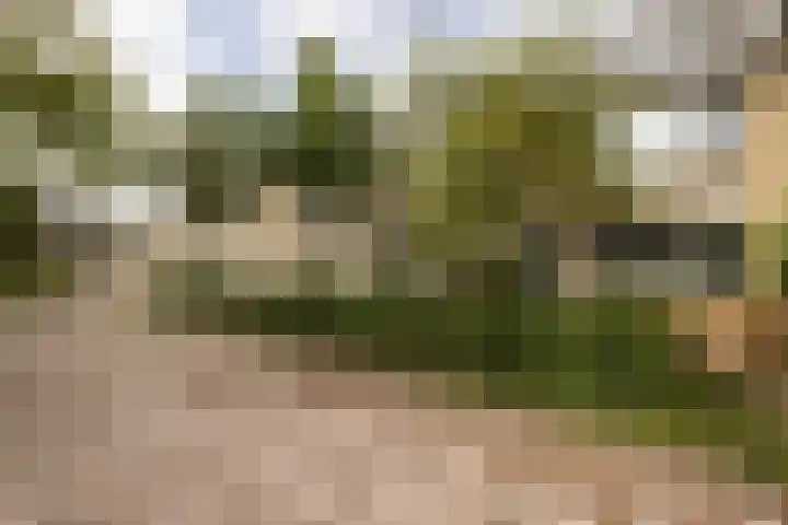 Graan voor Visch 15315 Hoofddorp thumbnail 44
