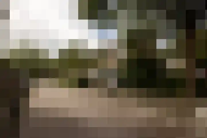 Graan voor Visch 15315 Hoofddorp thumbnail 45