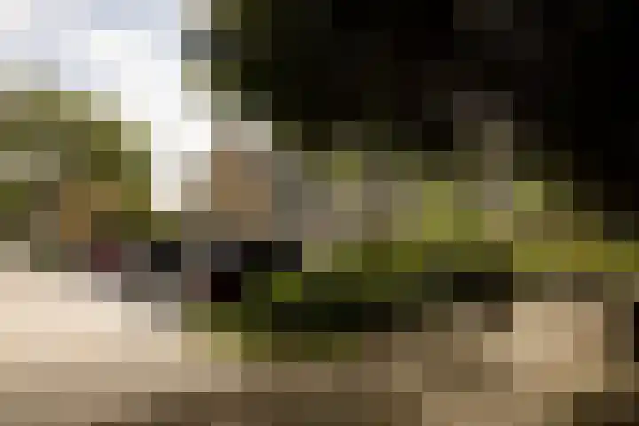 Graan voor Visch 15315 Hoofddorp thumbnail 46