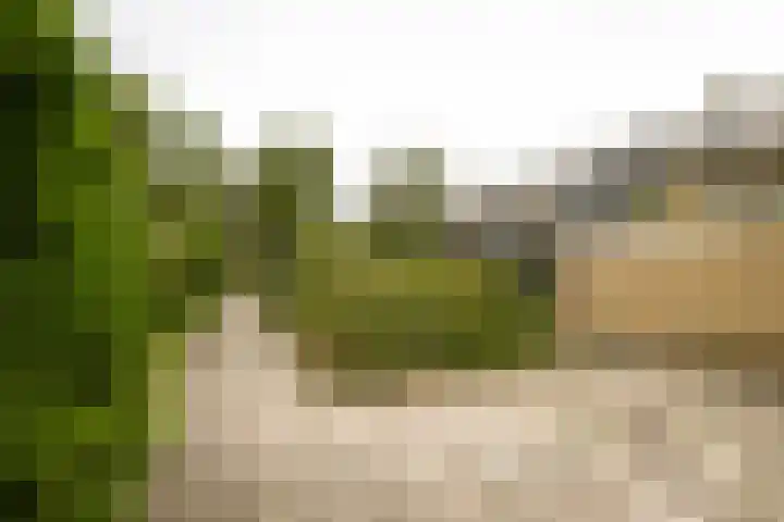 Graan voor Visch 15315 Hoofddorp thumbnail 47
