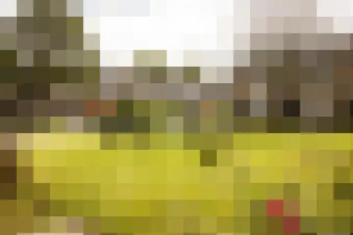 Graan voor Visch 15315 Hoofddorp thumbnail 48
