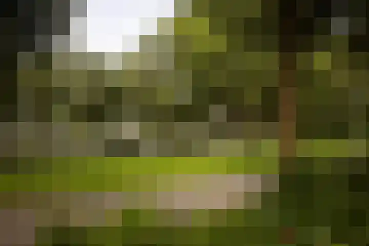 Graan voor Visch 15315 Hoofddorp thumbnail 49