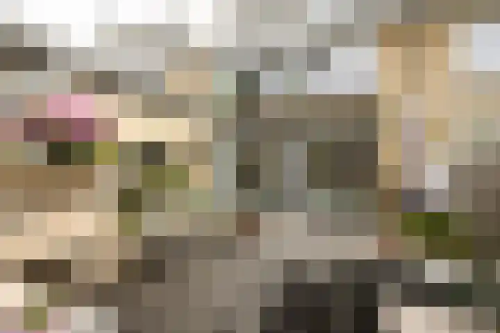 Graan voor Visch 15315 Hoofddorp thumbnail 5