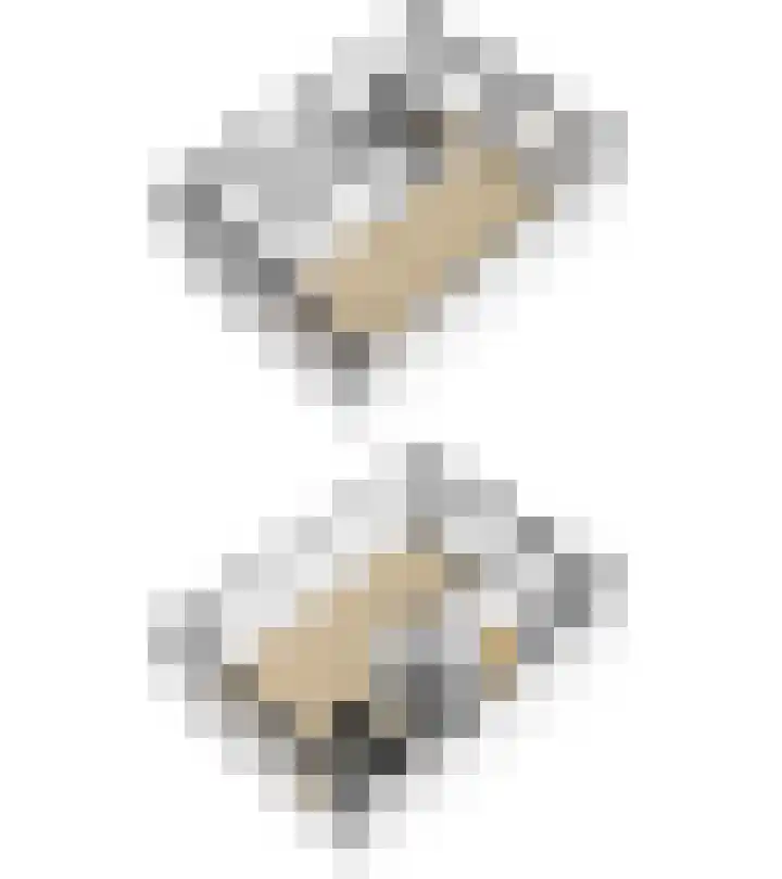 Graan voor Visch 15315 Hoofddorp thumbnail 51
