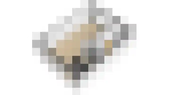 Graan voor Visch 15315 Hoofddorp thumbnail 52