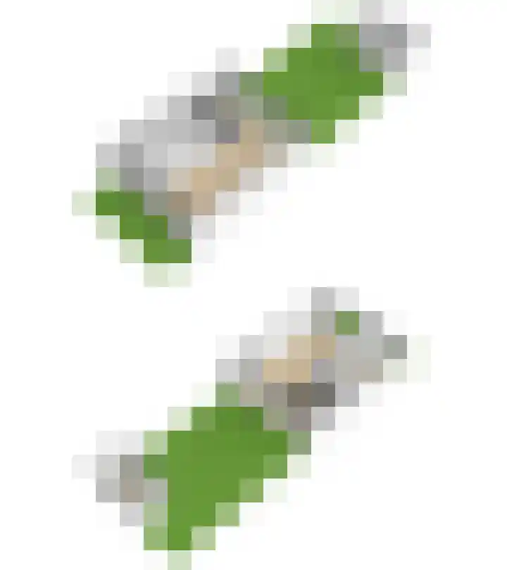 Graan voor Visch 15315 Hoofddorp thumbnail 63