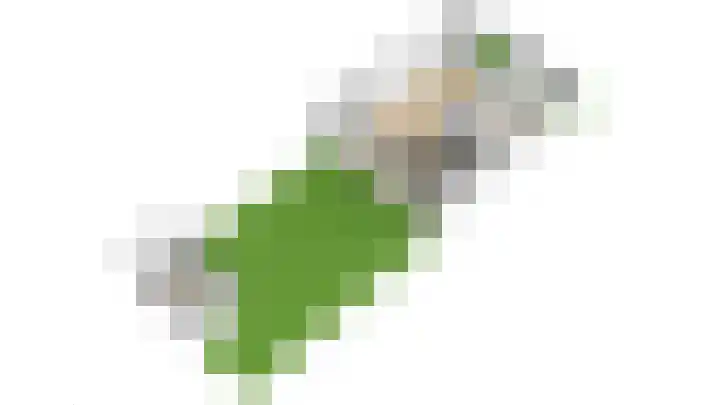 Graan voor Visch 15315 Hoofddorp thumbnail 64