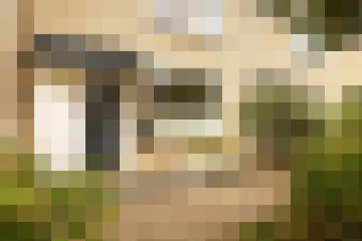 Graan voor Visch 15315 Hoofddorp thumbnail 7