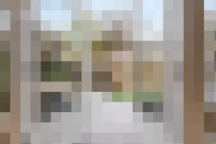 Graan voor Visch 15319 Hoofddorp thumbnail 10