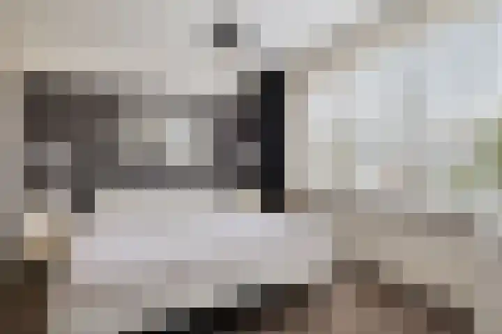 Graan voor Visch 15319 Hoofddorp thumbnail 22