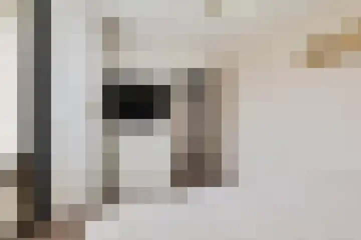 Graan voor Visch 15319 Hoofddorp thumbnail 23