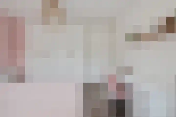 Graan voor Visch 15319 Hoofddorp thumbnail 25