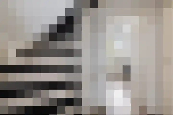 Graan voor Visch 15319 Hoofddorp thumbnail 30