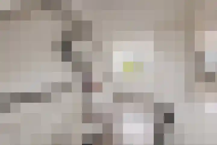 Graan voor Visch 15319 Hoofddorp thumbnail 36