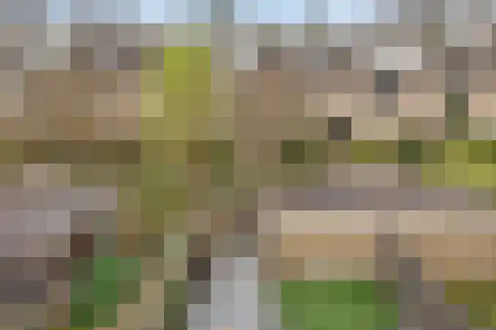 Graan voor Visch 15319 Hoofddorp thumbnail 37