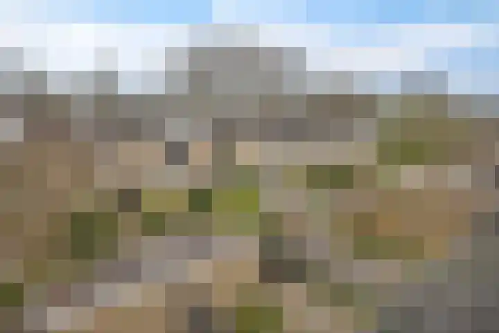 Graan voor Visch 15319 Hoofddorp thumbnail 38