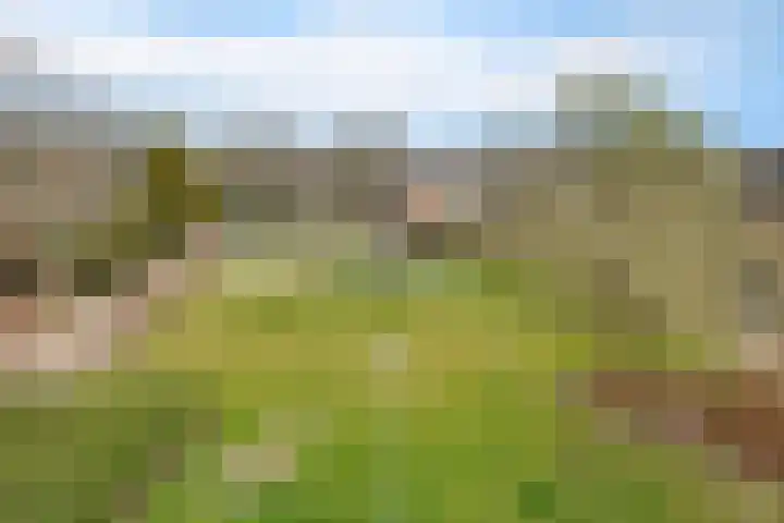 Graan voor Visch 15319 Hoofddorp thumbnail 39
