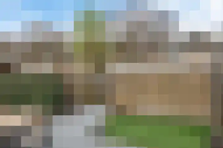 Graan voor Visch 15319 Hoofddorp thumbnail 42
