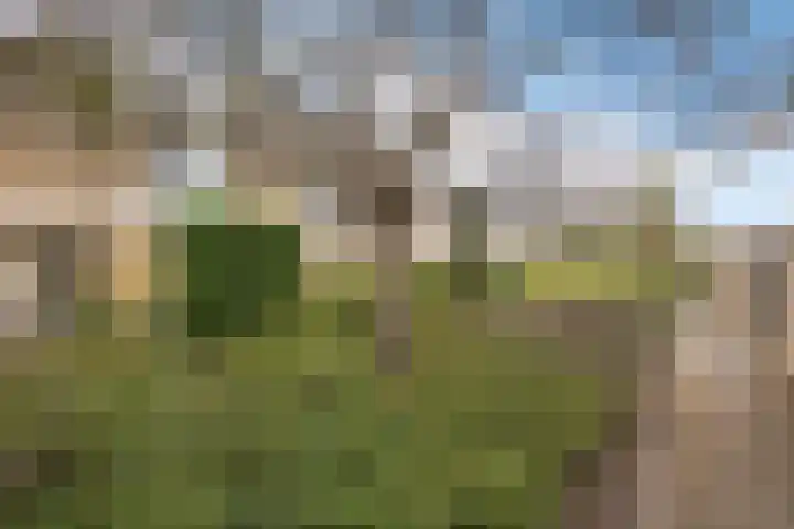 Graan voor Visch 15319 Hoofddorp thumbnail 43