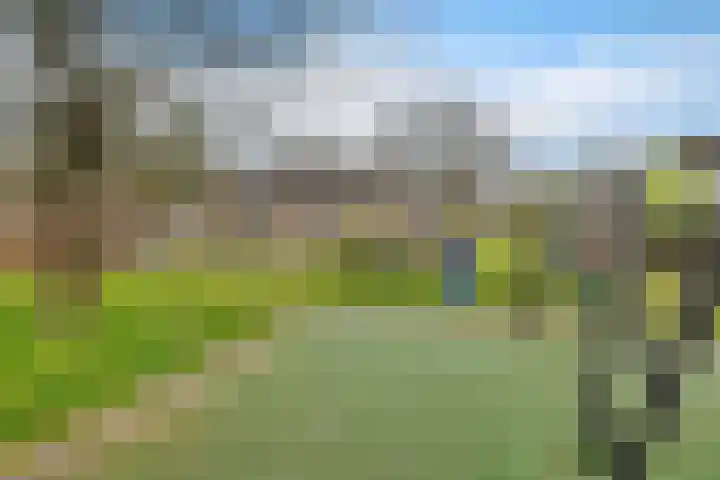 Graan voor Visch 15319 Hoofddorp thumbnail 44